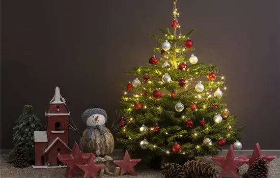 Tradition des Weihnachtsbaums