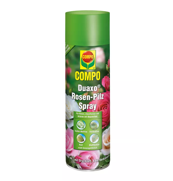 Compo Duaxo Rosen-Pilz-Spray 