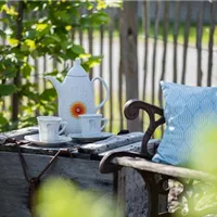 Kaffeegedeck mit Garten