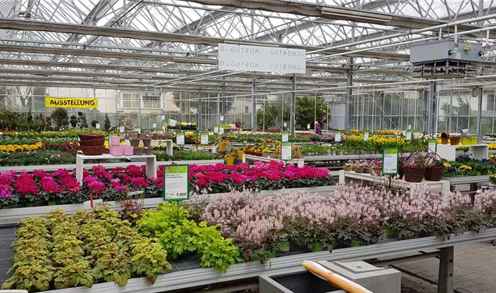 1A Garten Ammer Gartencenter. Blumen und Pflanzen in Osterhofen 1A