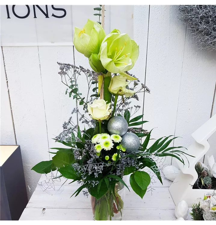 Blumenversand mit Tannengrün und Gratis Grußkarte Deutschlandweit versenden weiße Amaryllis Mt.Blanc Blumenstrauß 5 Stück im Bund Blumenversand mit Tannengrün und Gratis Grußkarte Deutschlandweit versenden weiße Amaryllis Mt.Blanc Blumenstrauß 5 Stück im Bund