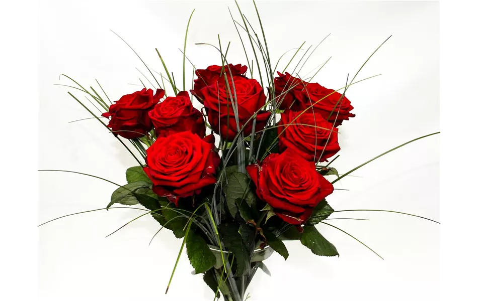"Rote Rosen" 9 Stück Blumenstrauß
