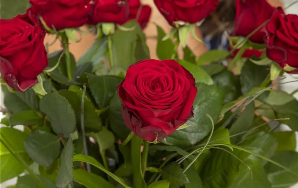 "Rote Rosen" 19 Stück Blumenstrauß