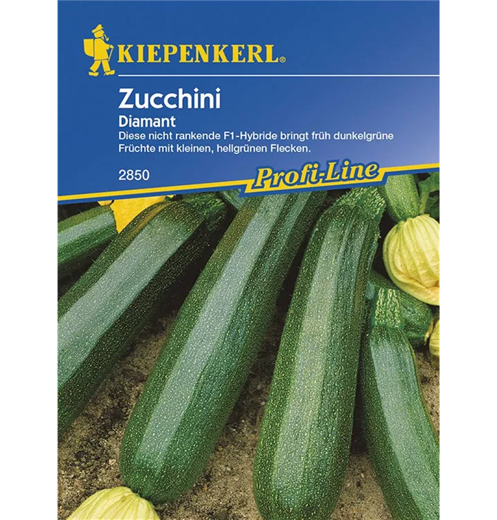 Zucchini Diamant, F1 - Kiepenkerl