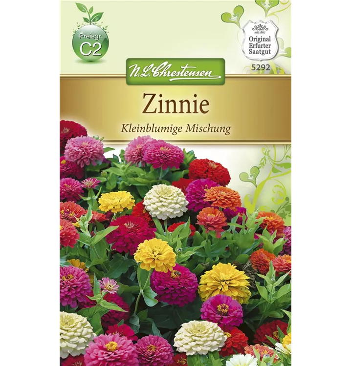 Zinnien Samen Kaufen