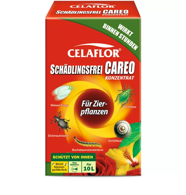Celaflor Schädlingsfrei Careo Konzentrat Zierpflanze 1A Garten Ammer
