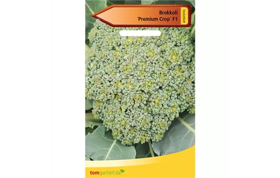 Broccoli 'Premium Crop F1'