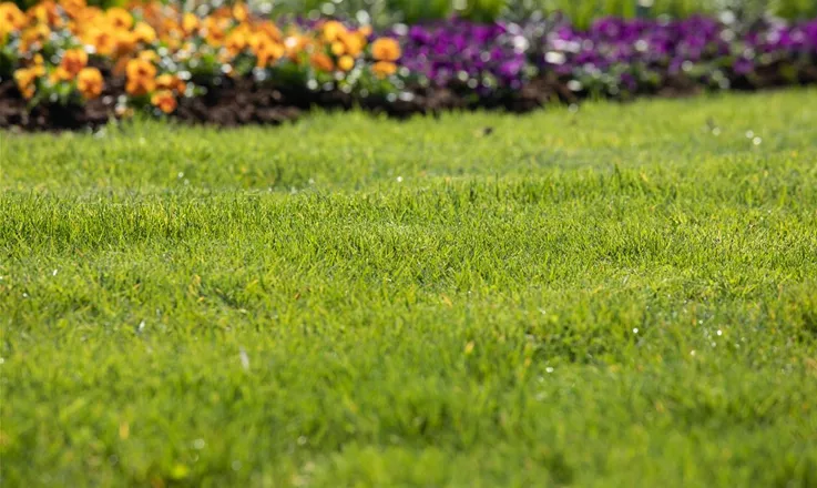 Bringen Sie Grünflächen im Garten mit Zubehör-Rasentrimmer zum strahlen!