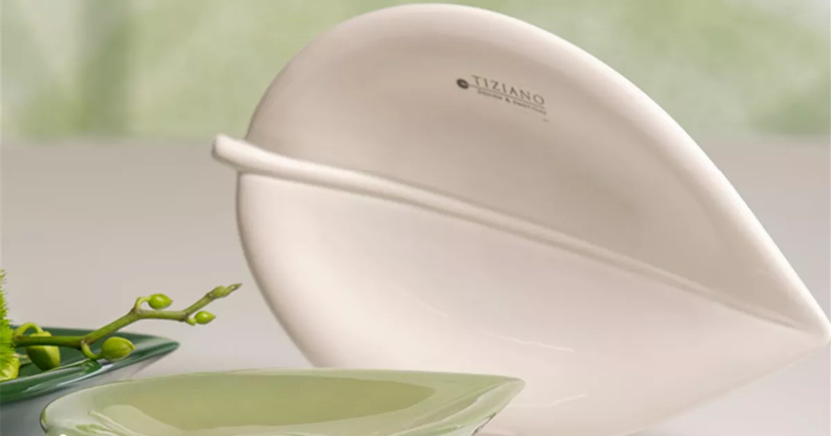 Schale Falda Creme Schale Falda Tiziano Keramik Jetzt Bestellen schale-falda-creme-schale-falda-tiziano-keramik-jetzt-bestellen
