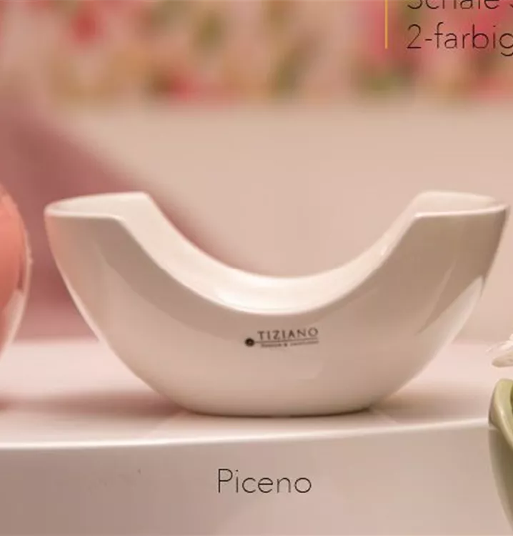 Schale Piceno Creme Tiziano Keramik Dekoartikel Online Bestellen schale-piceno-creme-tiziano-keramik-dekoartikel-online-bestellen