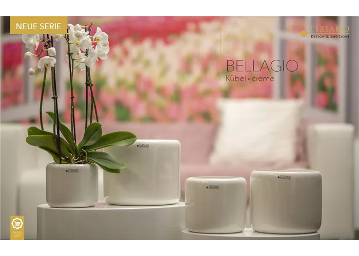 Blumentopf Kübel Bellagio creme weiß