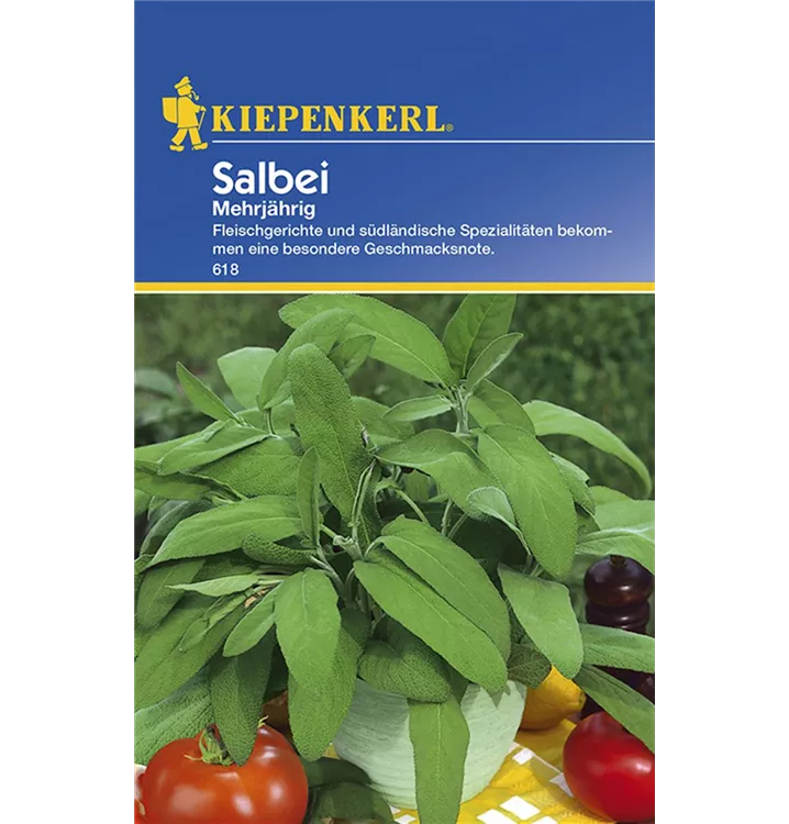 Salvia officinalis - Kiepenkerl