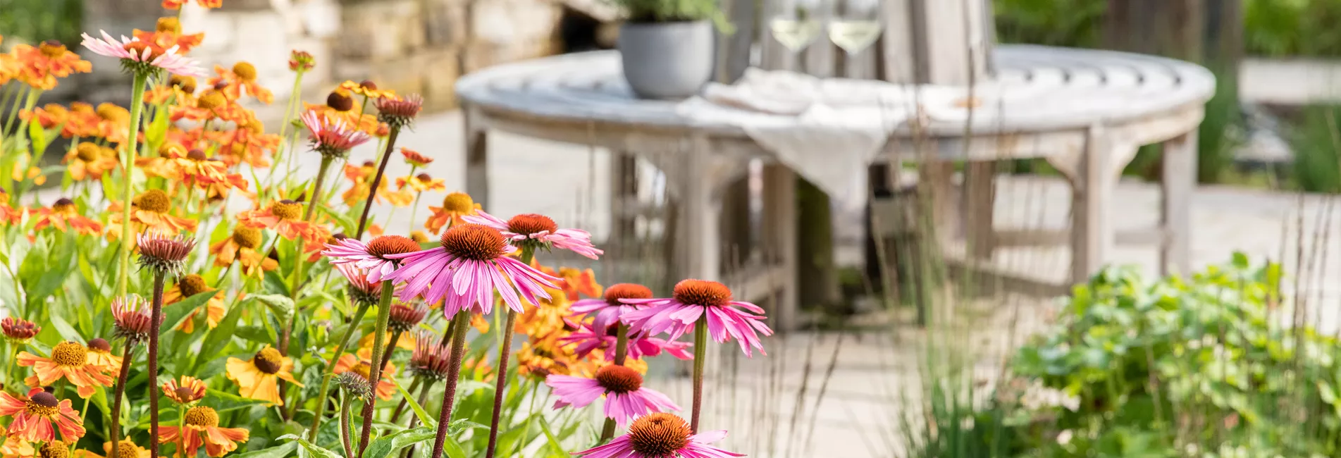 1A Garten Ammer Gartencenter. Blumen und Pflanzen in Osterhofen 1A