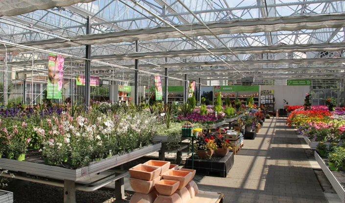 1A Garten Ammer Gartencenter. Blumen und Pflanzen in Osterhofen 1A