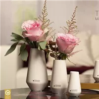 Vase Tosini.jpg