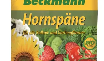 Bildvorschau