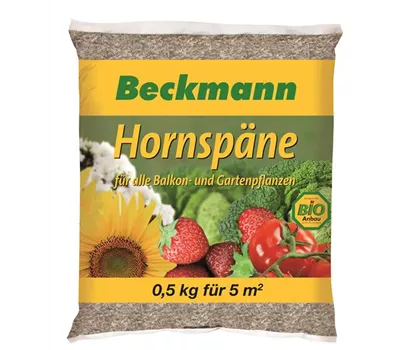 Hornspäne