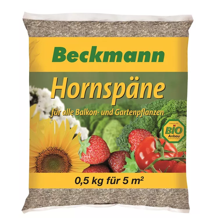 Beckmann
