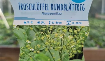 Bildvorschau