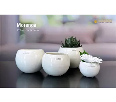 Kübel Morenga creme