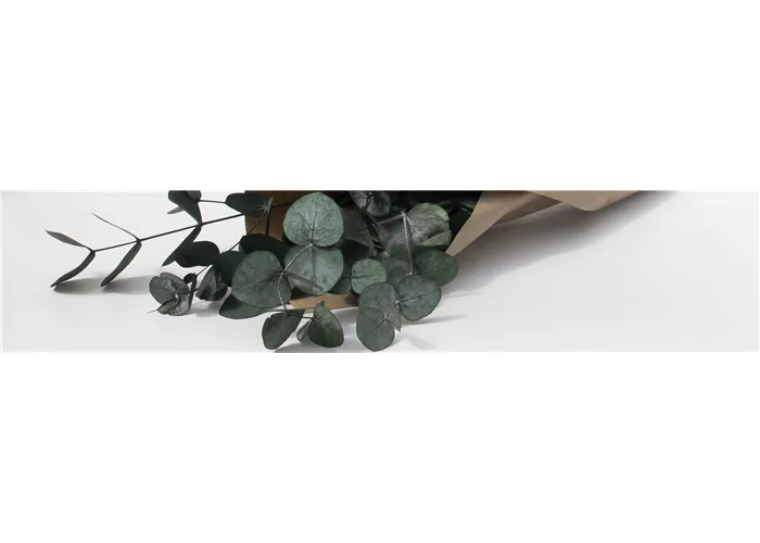 Trockenblumen