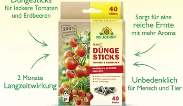 Bildvorschau