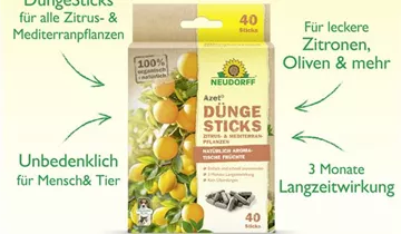 Bildvorschau