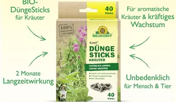 Bildvorschau