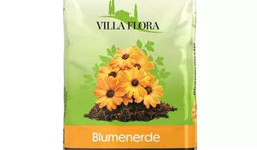 Bildvorschau