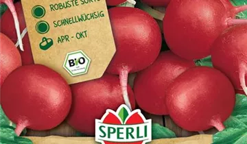 Bildvorschau