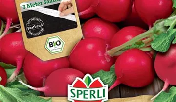 Bildvorschau