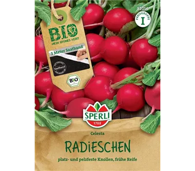 Bio-Radieschen