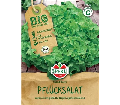 BIO Pflücksalat, grün