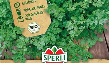 Bildvorschau