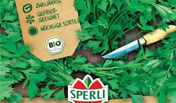 Bildvorschau