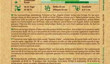 Bildvorschau