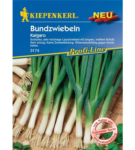Lauchzwiebel Kaigaro