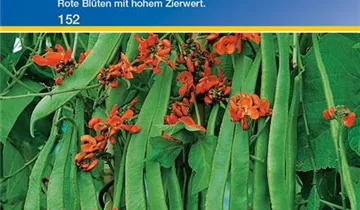 Bildvorschau