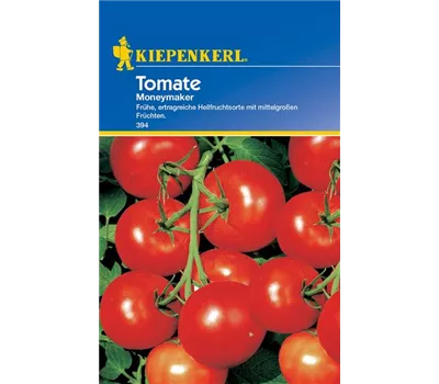 Tomate Moneymaker