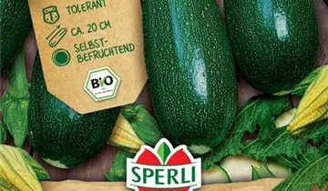 Bildvorschau