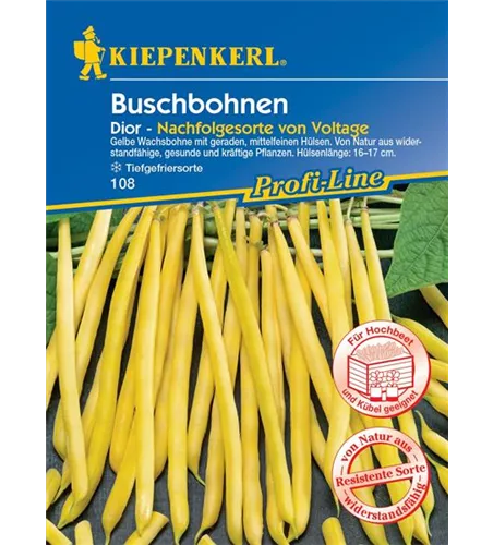 Buschbohne Dior