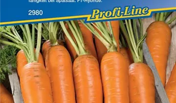 Bildvorschau