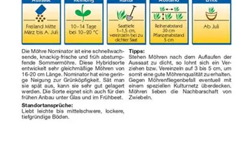 Bildvorschau