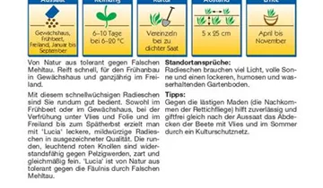 Bildvorschau