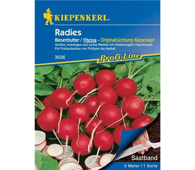 Radieschen Riesenbutter/Vitessa, Saatband