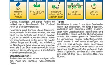 Bildvorschau