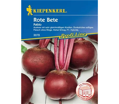 Rote Beete Pablo F1