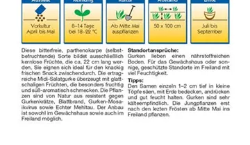 Bildvorschau