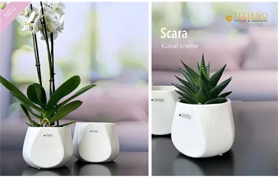 Kübel Skara creme