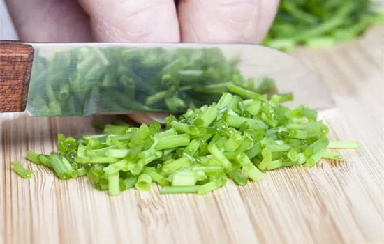 Was wäre der Küchengarten ohne frische Kräuter?